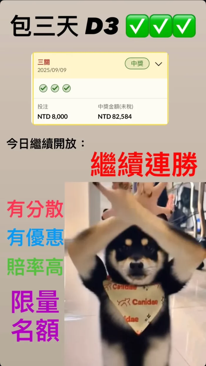 運彩詐騙宣傳圖，顯示連勝賽果與狗狗表演動作，強調高勝率與限量名額