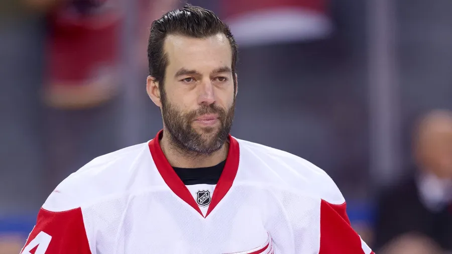 Todd Bertuzzi 曾是 NHL 著名的強悍球員，其角色象徵冰球中維持秩序與保護隊友的文化。